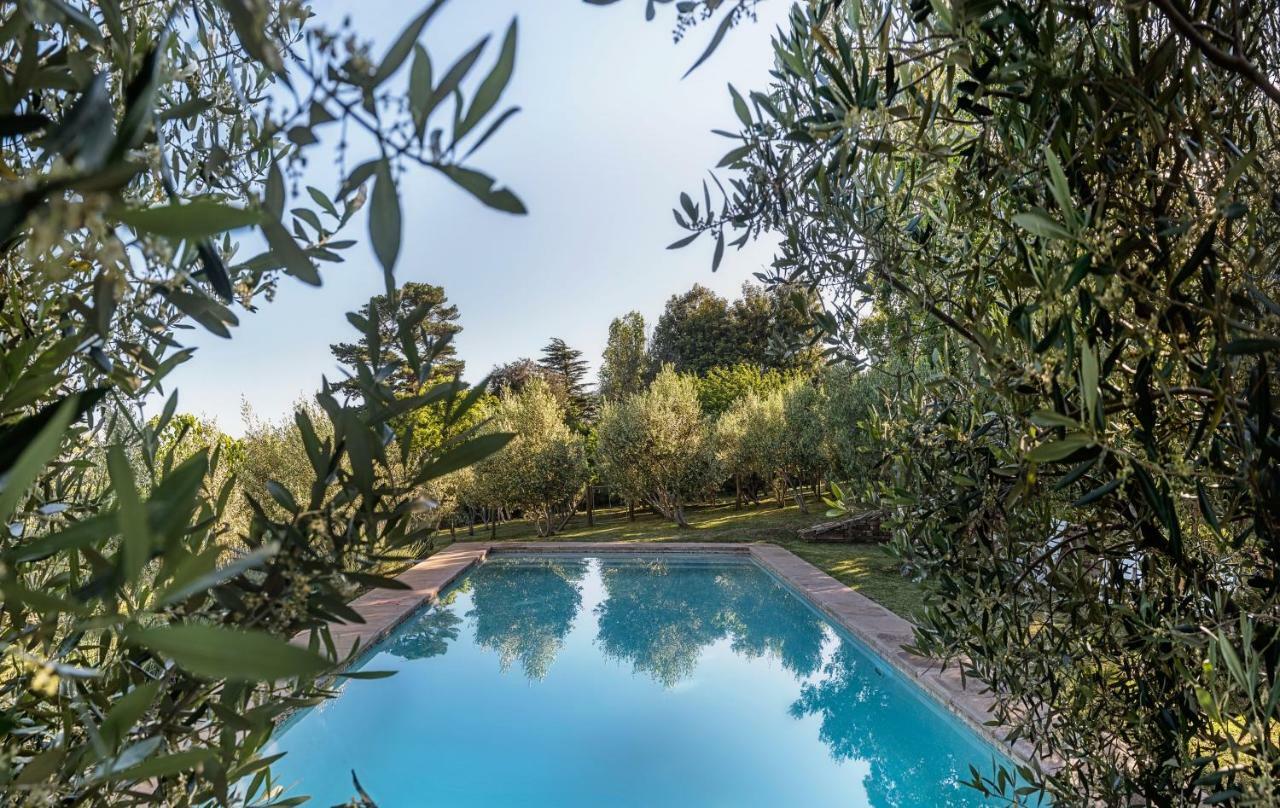 Вилла Longfield House Стелленбос Экстерьер фото